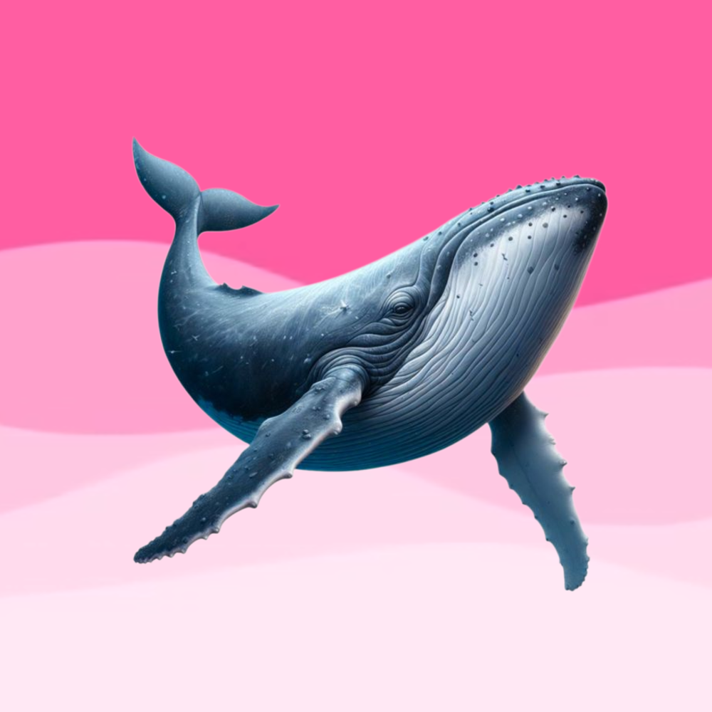 Whale